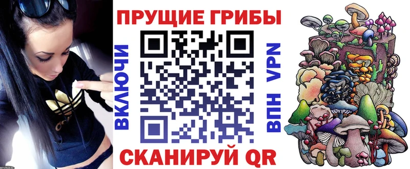 Галлюциногенные грибы Psilocybine cubensis  Орёл 